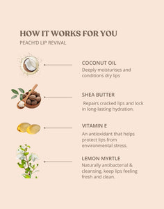 Lip Care Kit – Polish • Plump • Glow