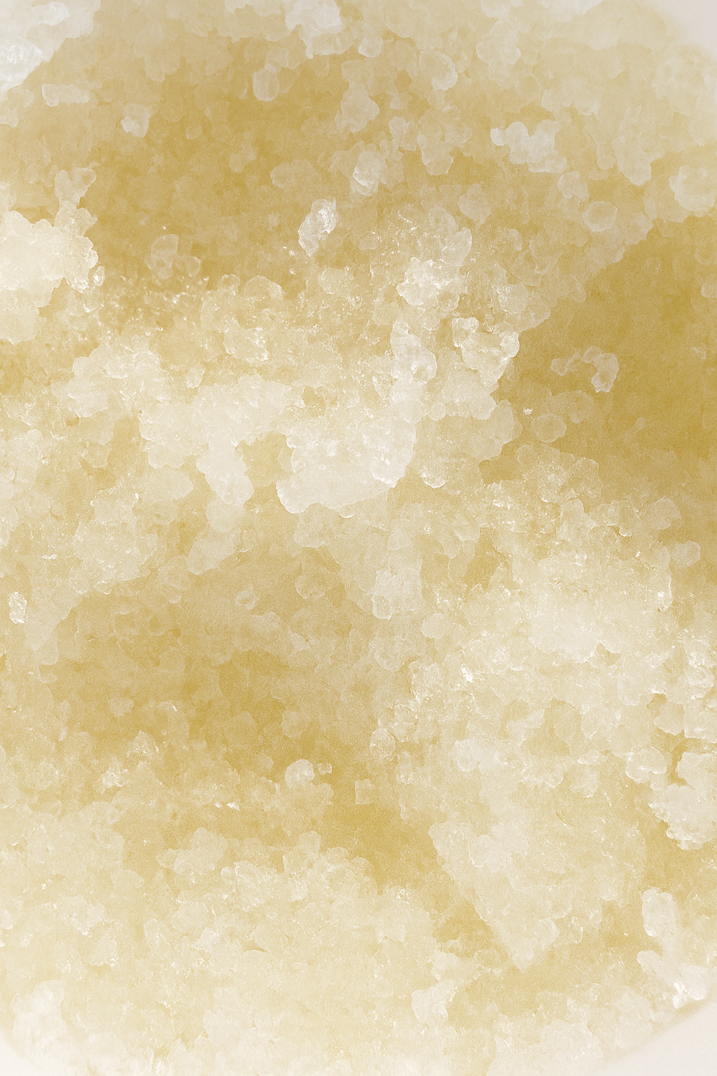 Lip Polish - with plant oils